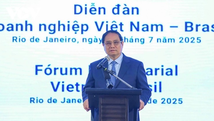 Vietnam ready to facilitate sustainable Brazil-Vietnam investment ties